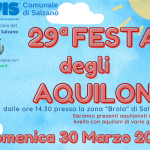 La 29° Festa degli Aquiloni